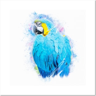 Parrot Bird Animal Wildlife Forest Jungle Nature Travel Digital Painting Posters and Art